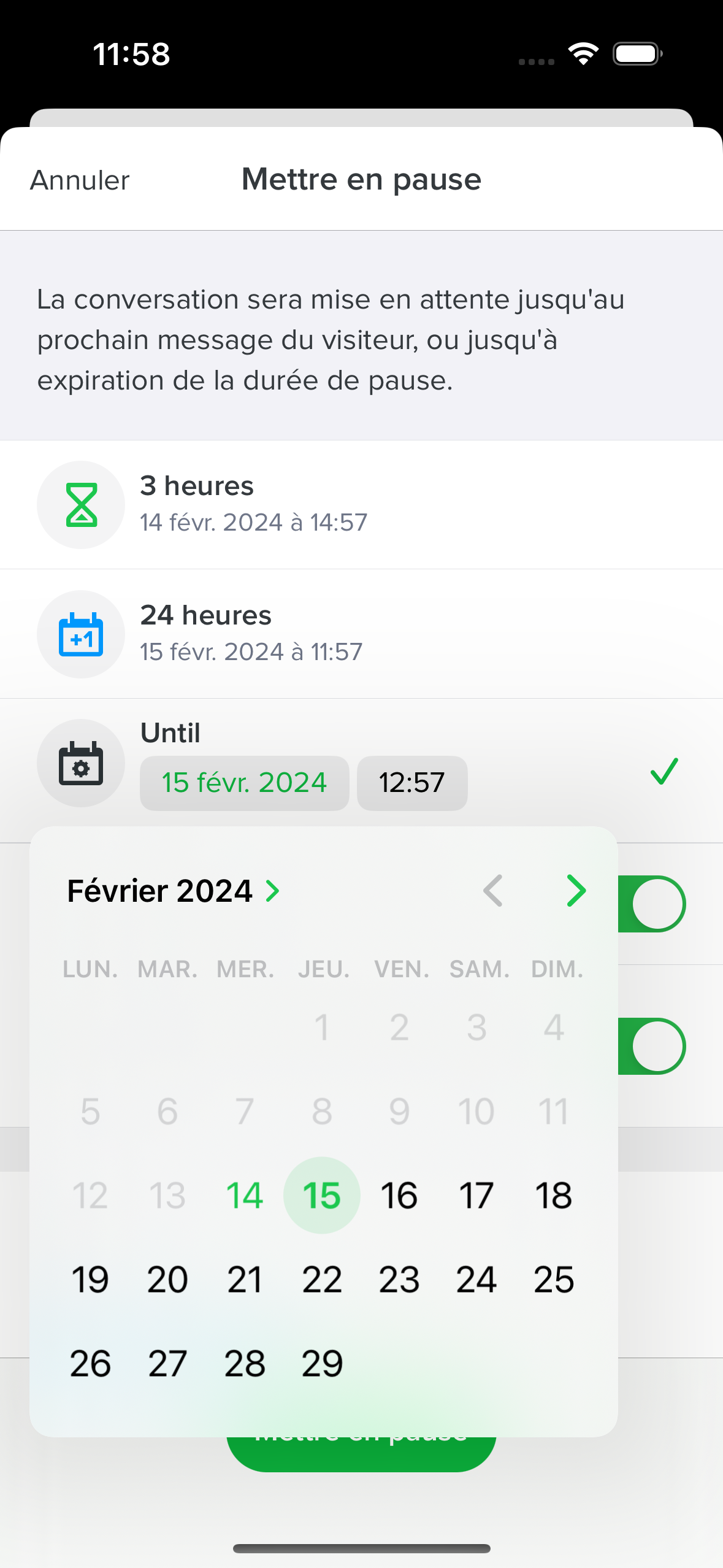 3 - Snooze - Custom date.png