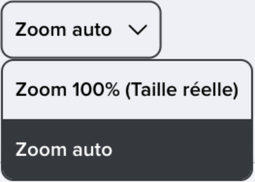 Desk-step1-mirroring-zoom-FR05.png